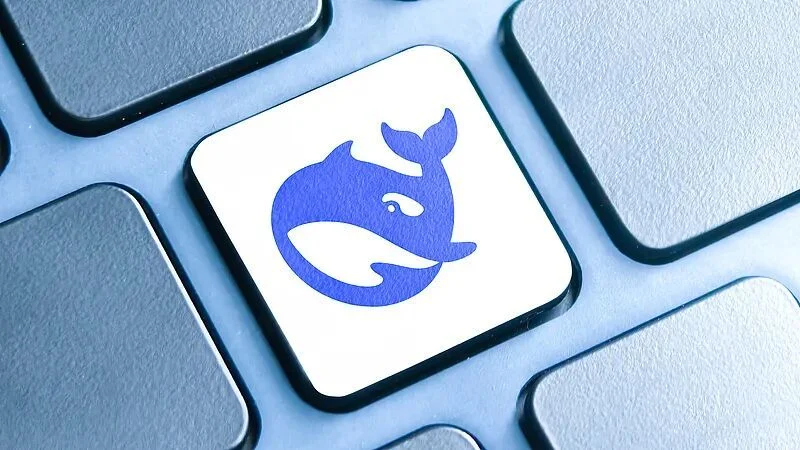 DeepSeek开源社区生态与代码权重发布